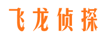 林芝找人公司